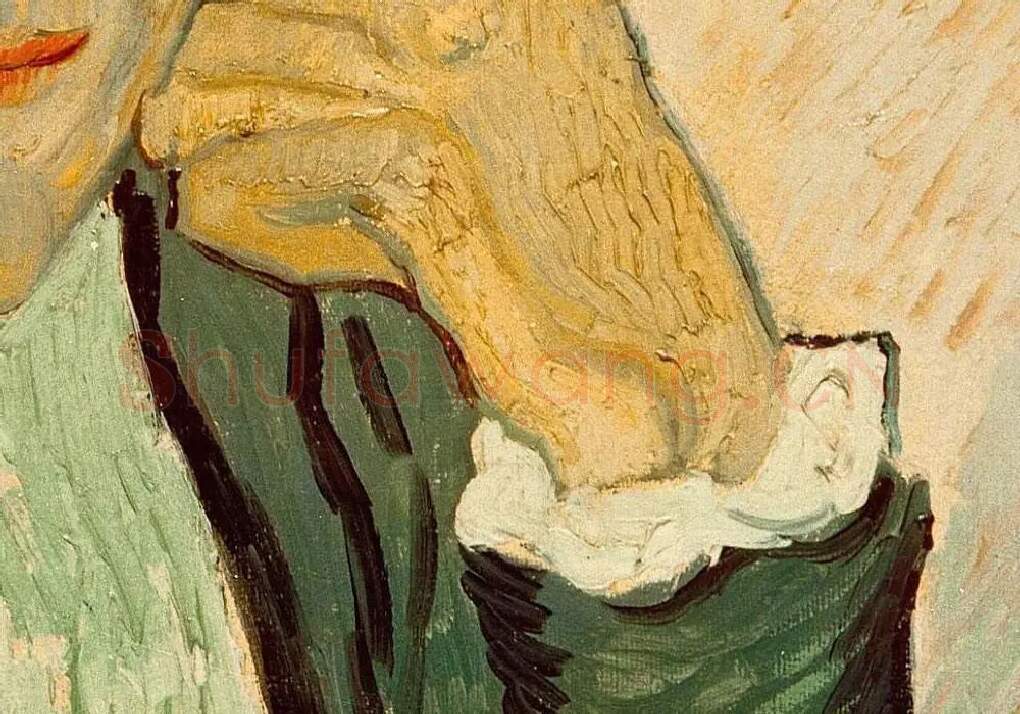 梵高油画人物《吉诺夫人的肖像》局部 (5)