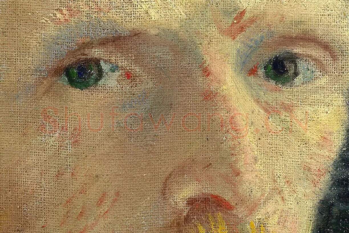 文森特·梵高1887年自画像局部 (1)