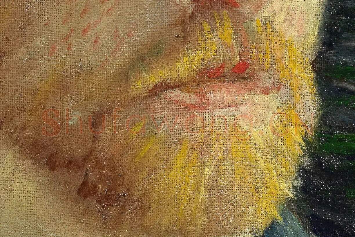 文森特·梵高1887年自画像局部 (2)