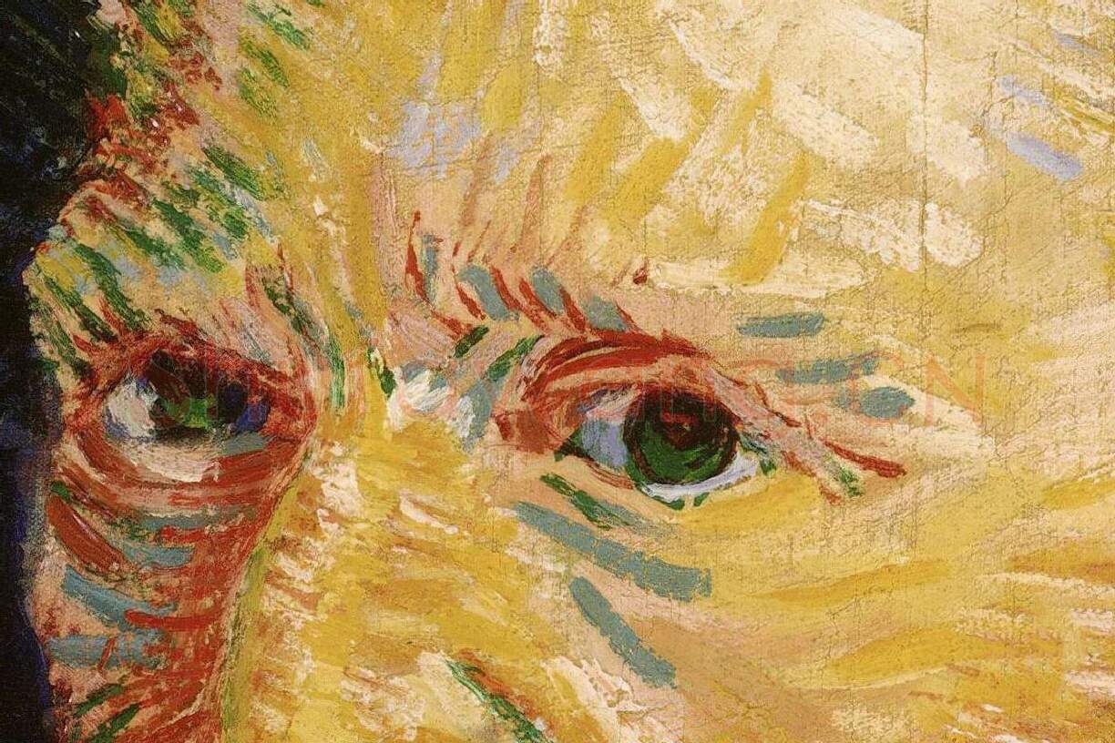 梵高油画头像《自画像》局部 (1)