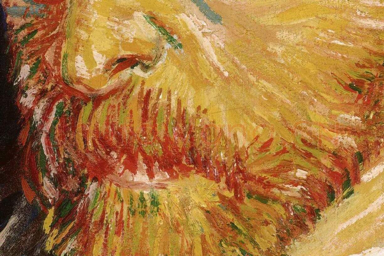 梵高油画头像《自画像》局部 (2)