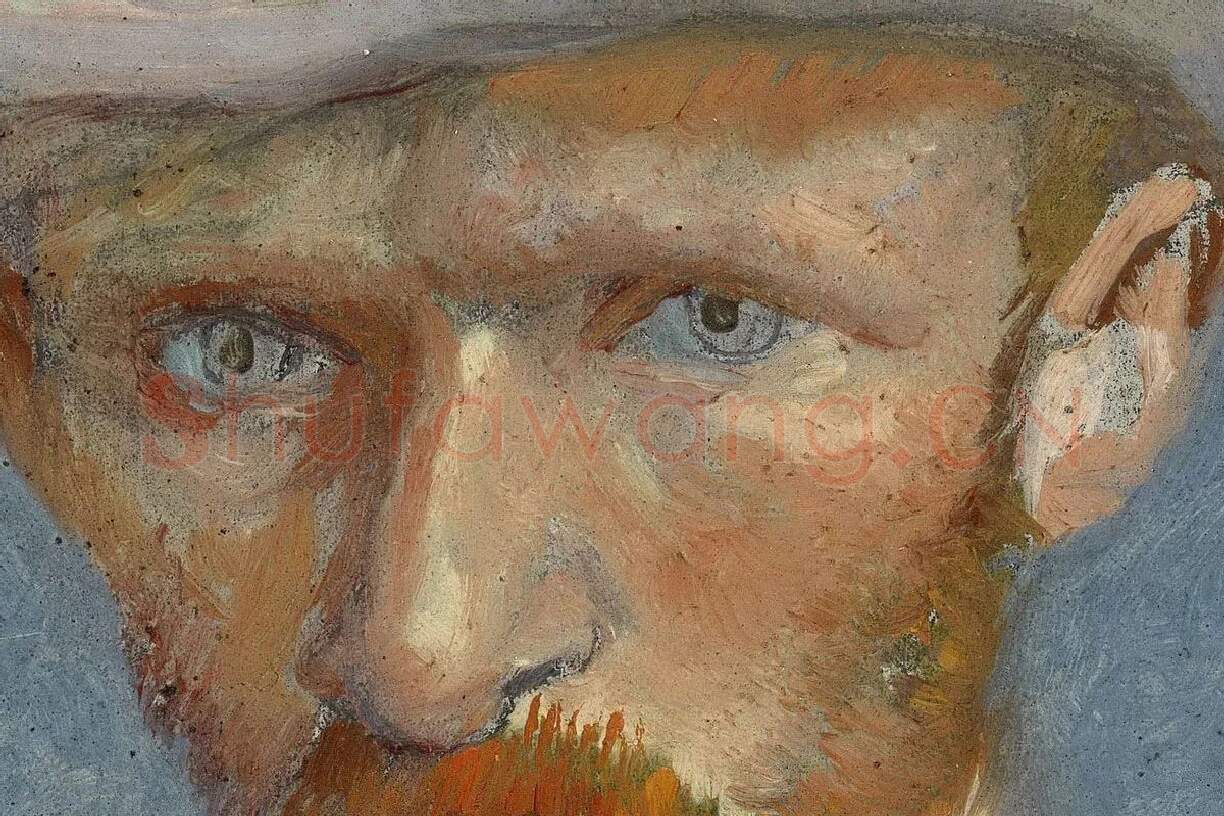 梵高1887年《戴帽子的自画像》油画作品局部 (1)