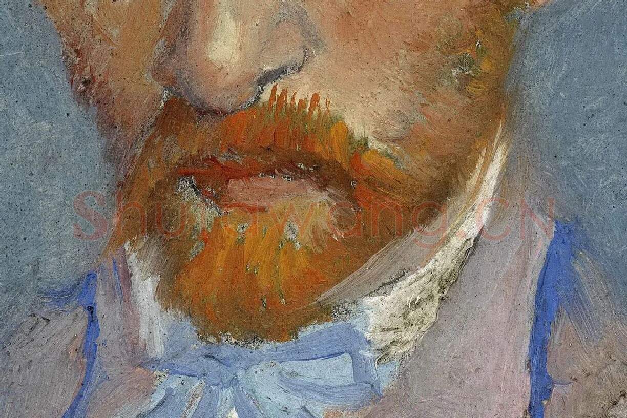 梵高1887年《戴帽子的自画像》油画作品局部 (2)