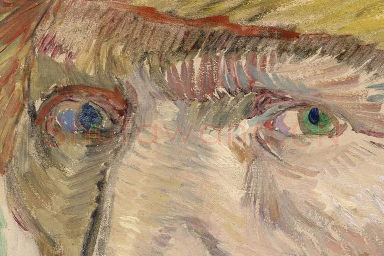 梵高1887年《戴草帽的自画像》局部 (1)