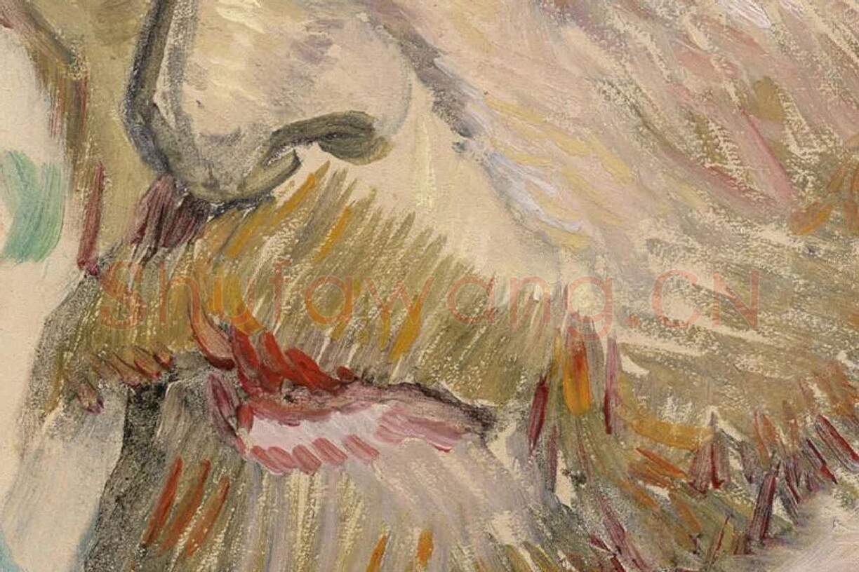 梵高1887年《戴草帽的自画像》局部 (2)