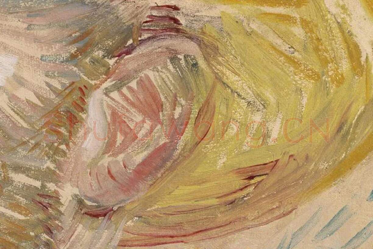 梵高1887年《戴草帽的自画像》局部 (3)