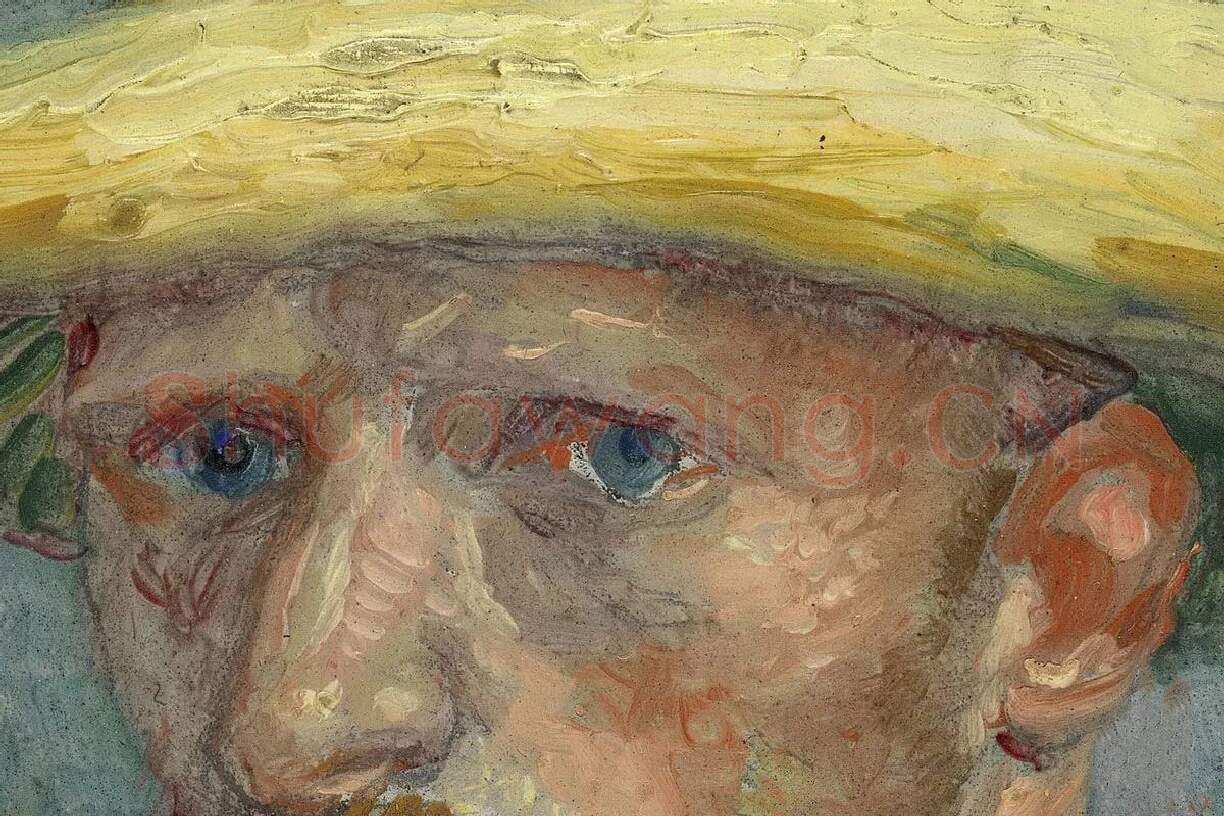 梵高1887年油画《戴草帽与领结的自画像》局部 (1)