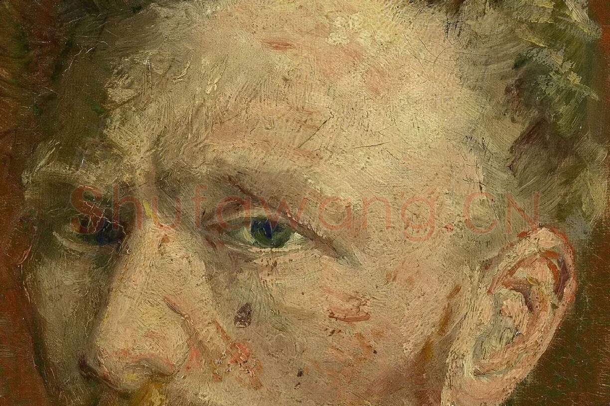梵高油画《有玻璃杯的自画像》局部 (2)