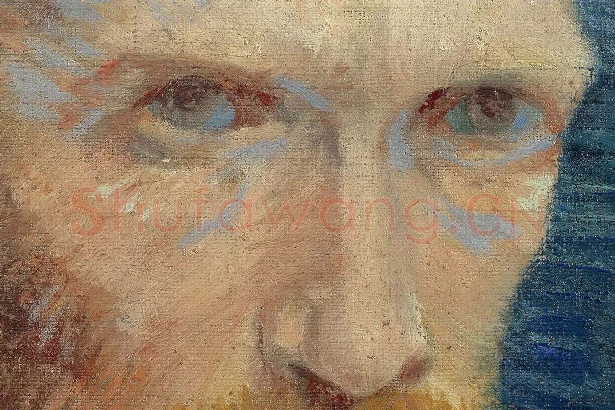 梵高1887油画头像《自画像》局部 (1)