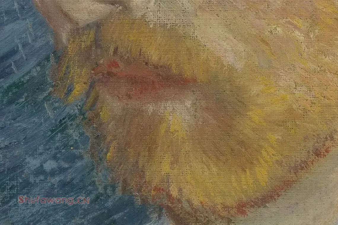 文森特·梵高油画头像《戴草帽的自画像》局部 (2)