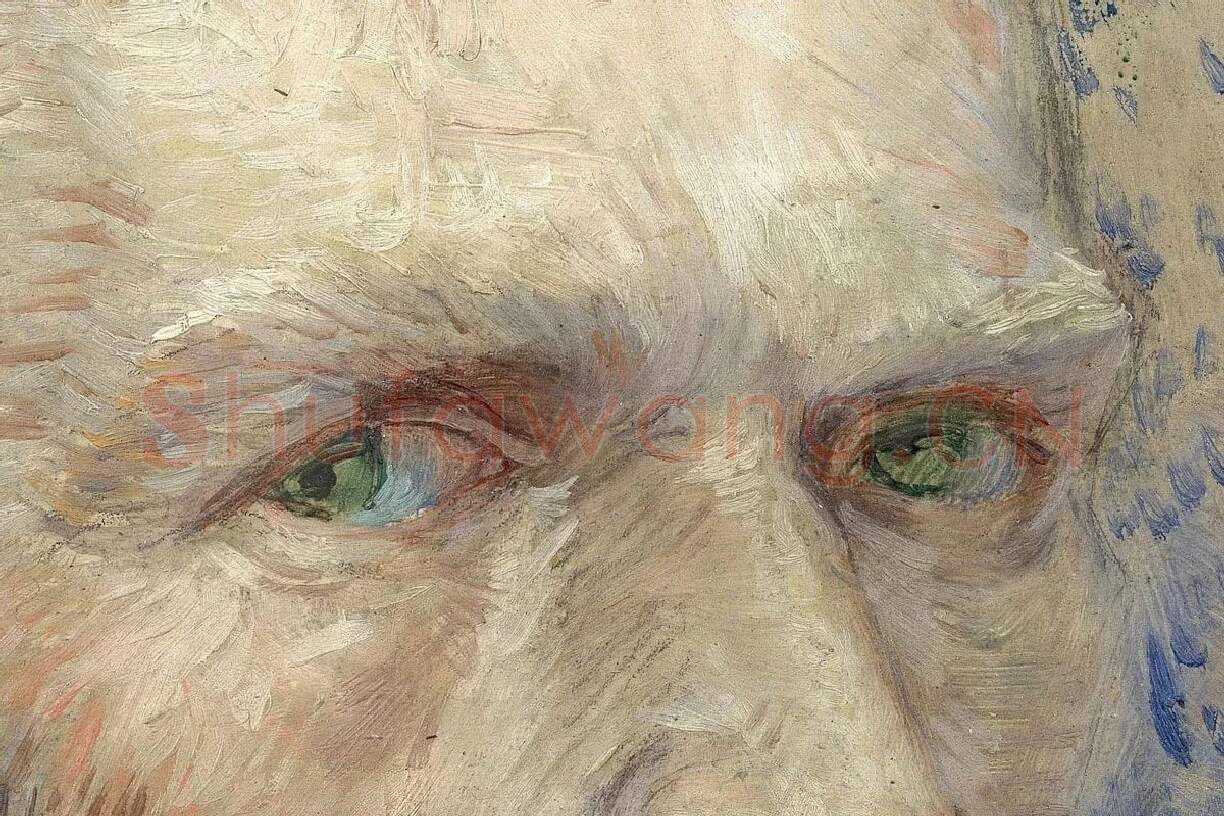 梵高1887年《自画像》油画作品局部 (1)