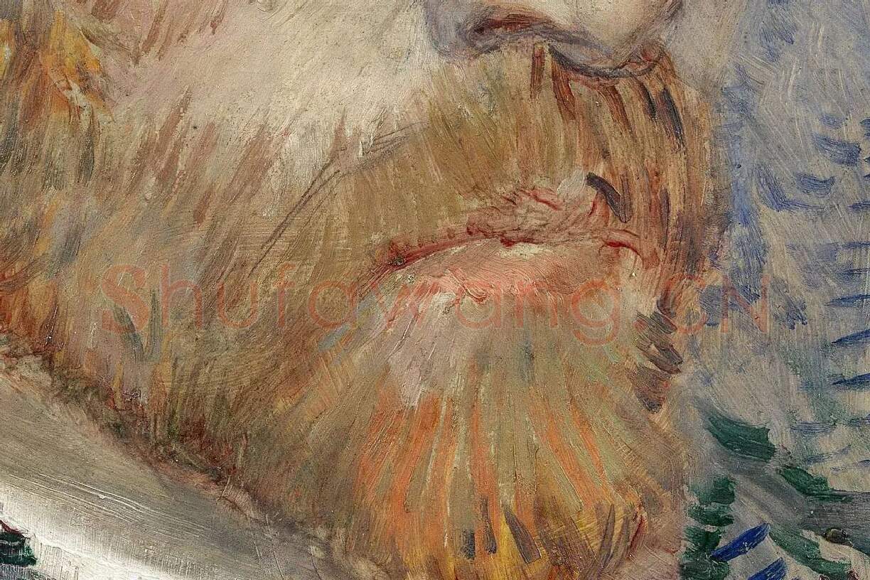 梵高1887年《自画像》油画作品局部 (2)