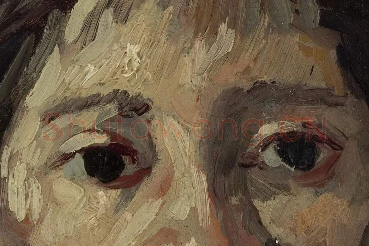 梵高油画人物头像《头发松弛的女人头像》局部细节 (1)