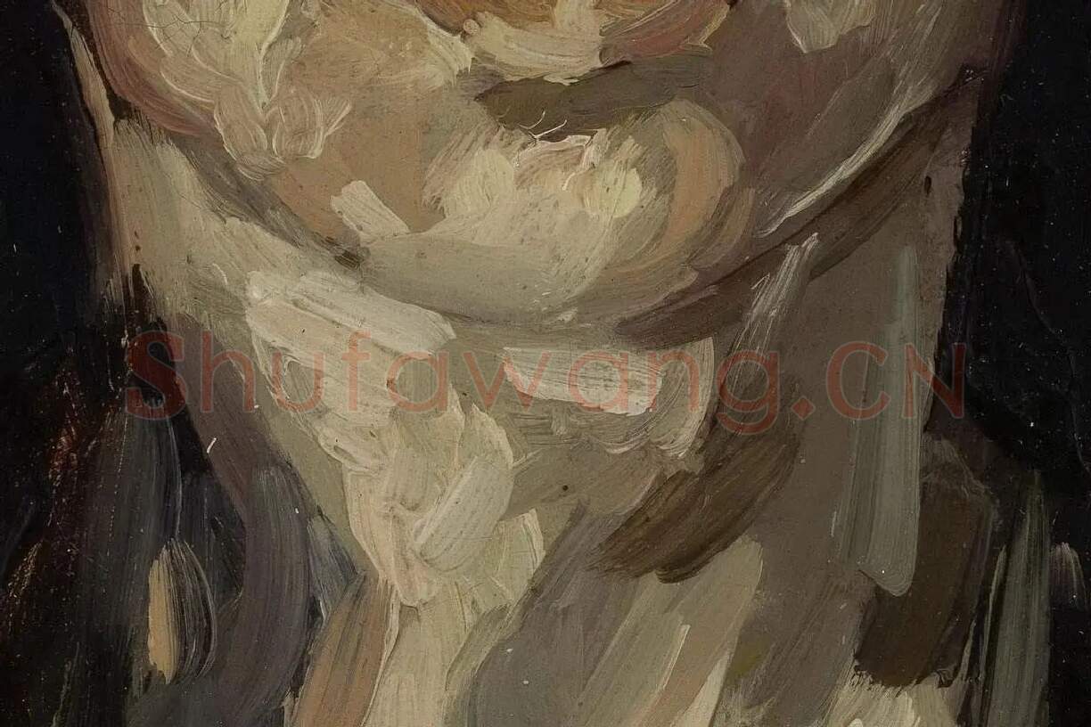 梵高油画人物头像《头发松弛的女人头像》局部细节 (3)