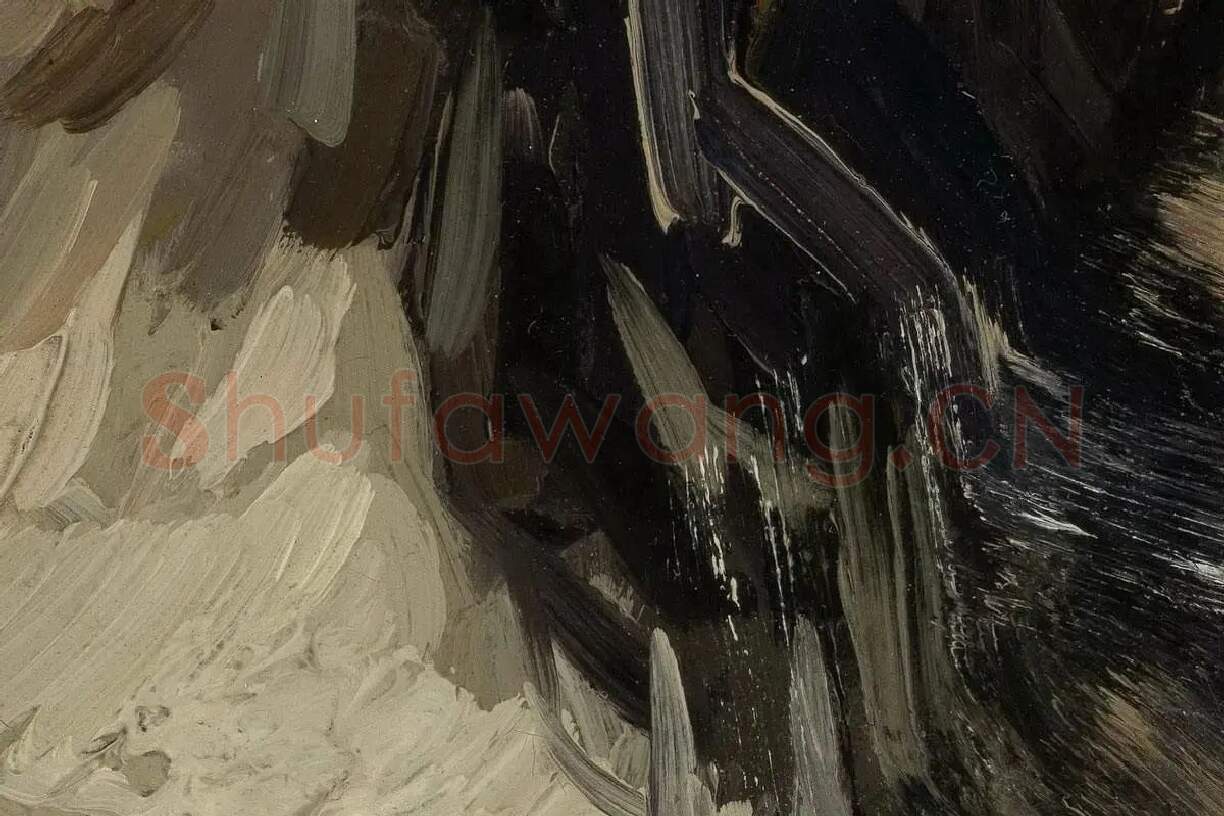 梵高油画人物头像《头发松弛的女人头像》局部细节 (4)