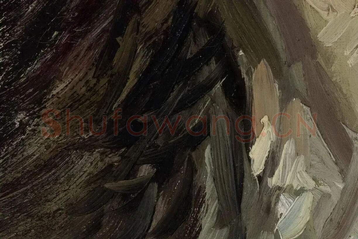 梵高油画人物头像《头发松弛的女人头像》局部细节 (5)