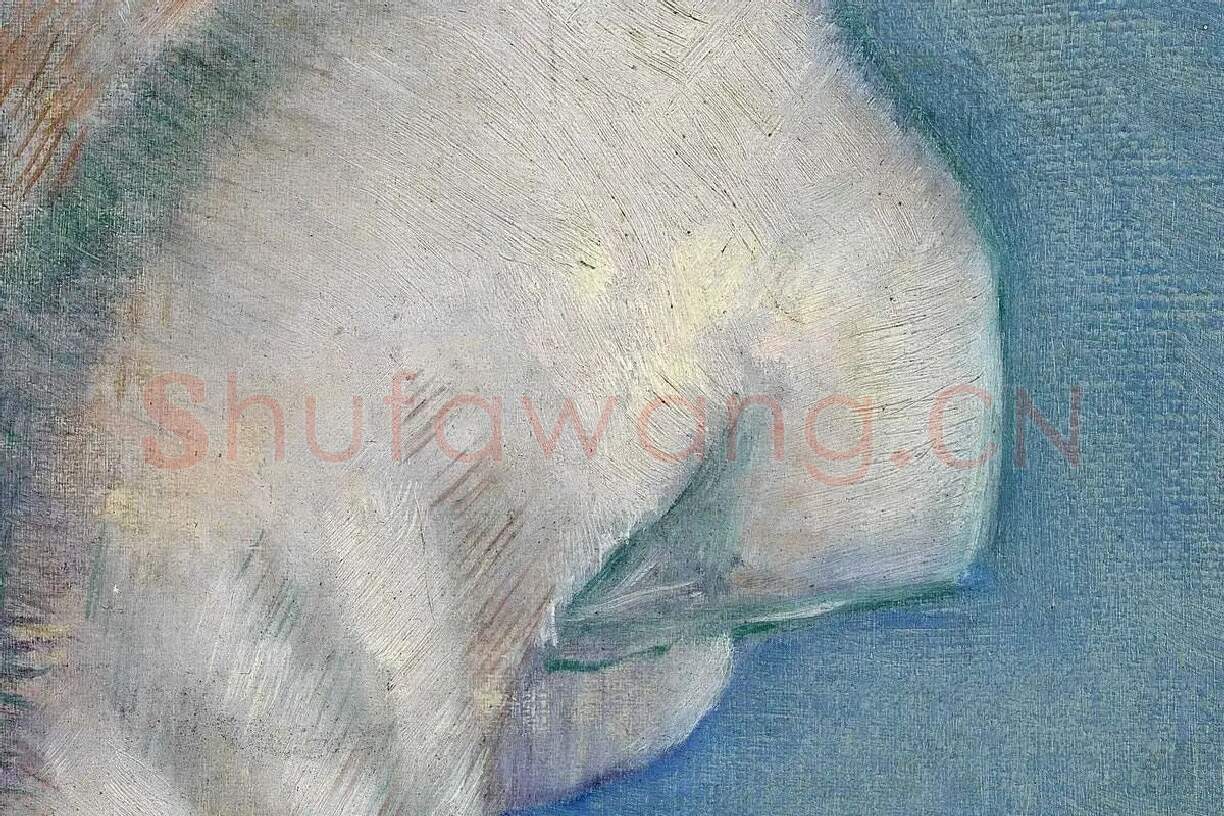 梵高石膏模型油画静物写生系列高清大图局部细节 (10)