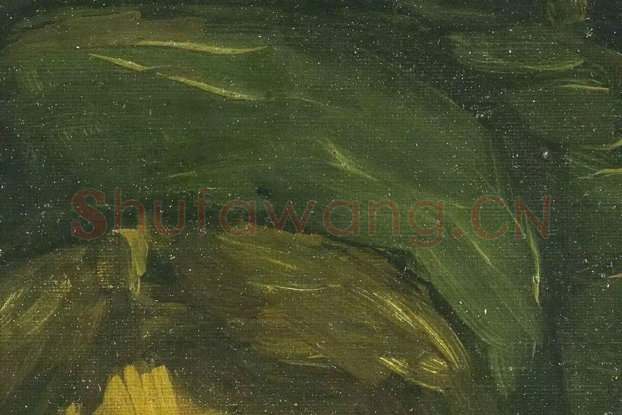 梵高油画习作《一个农妇的头像》局部 (4)