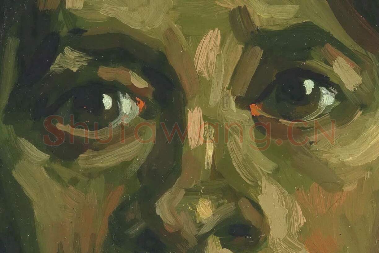 梵高油画头像习作《女人头像》局部 (1)