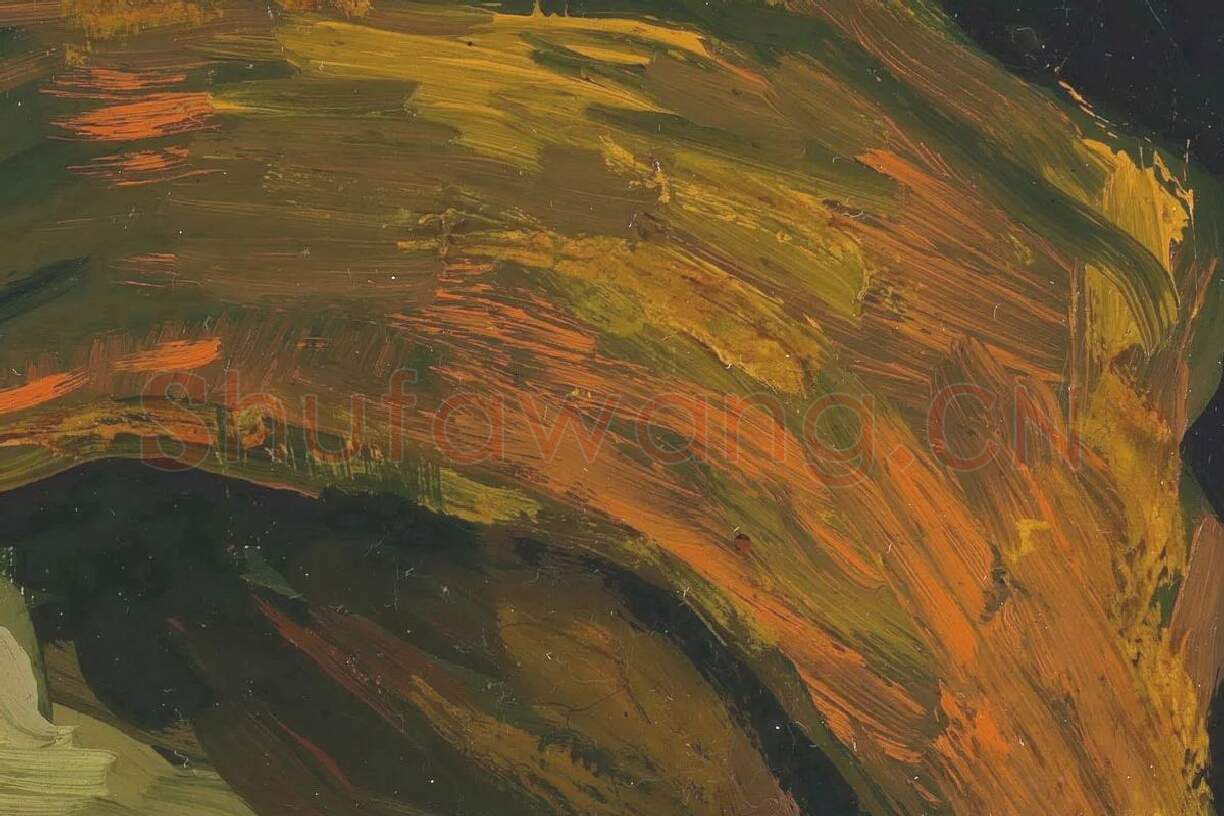 梵高油画头像习作《女人头像》局部 (4)