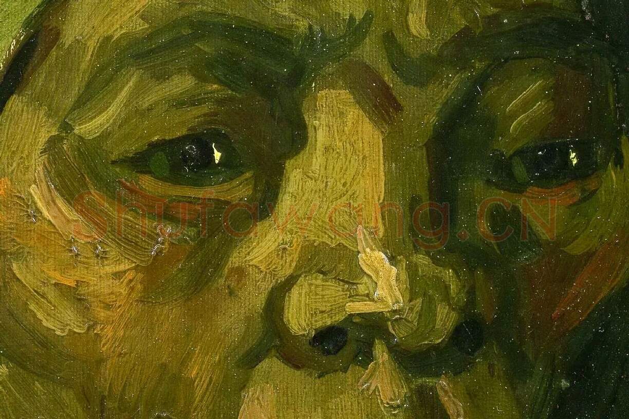 梵高油画头像《一个中年农妇的头像》局部 (1)