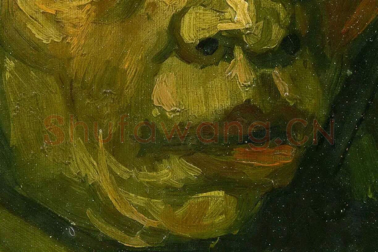 梵高油画头像《一个中年农妇的头像》局部 (2)