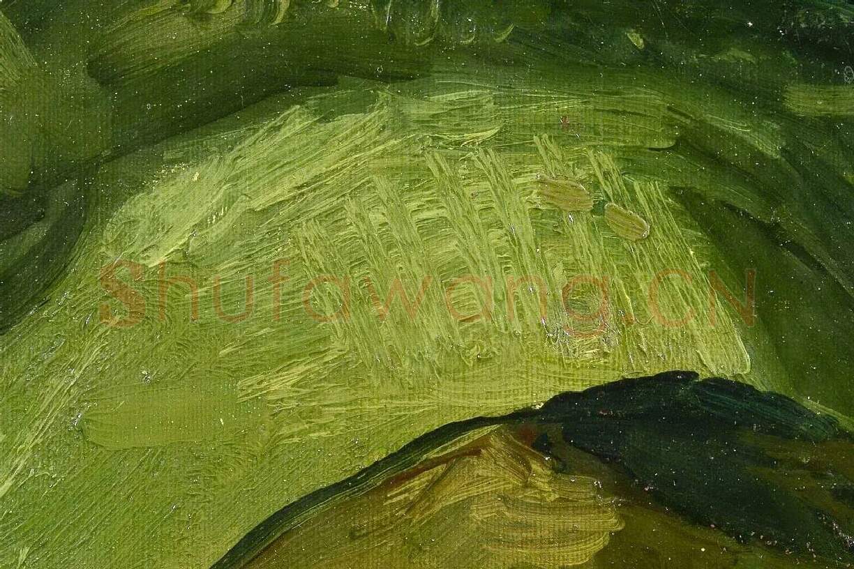 梵高油画头像《一个中年农妇的头像》局部 (3)