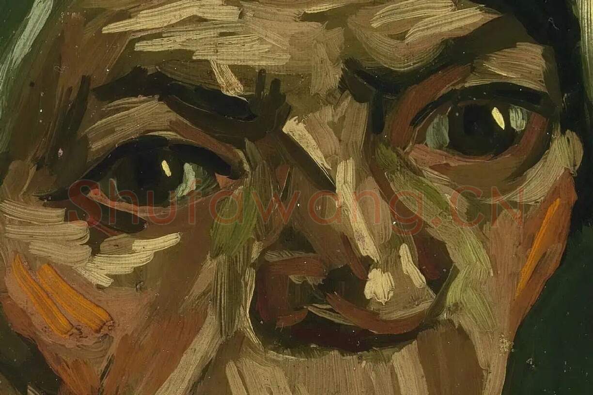 梵高油画头像《妇女人物头像》局部 (1)