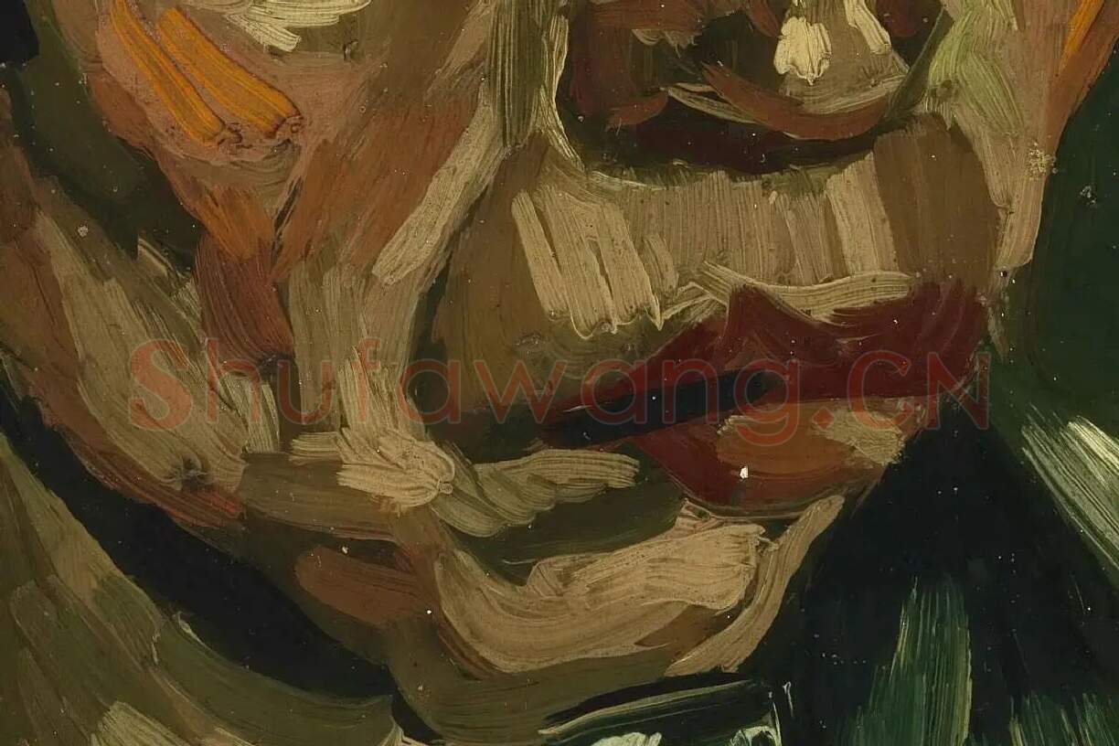 梵高油画头像《妇女人物头像》局部 (2)