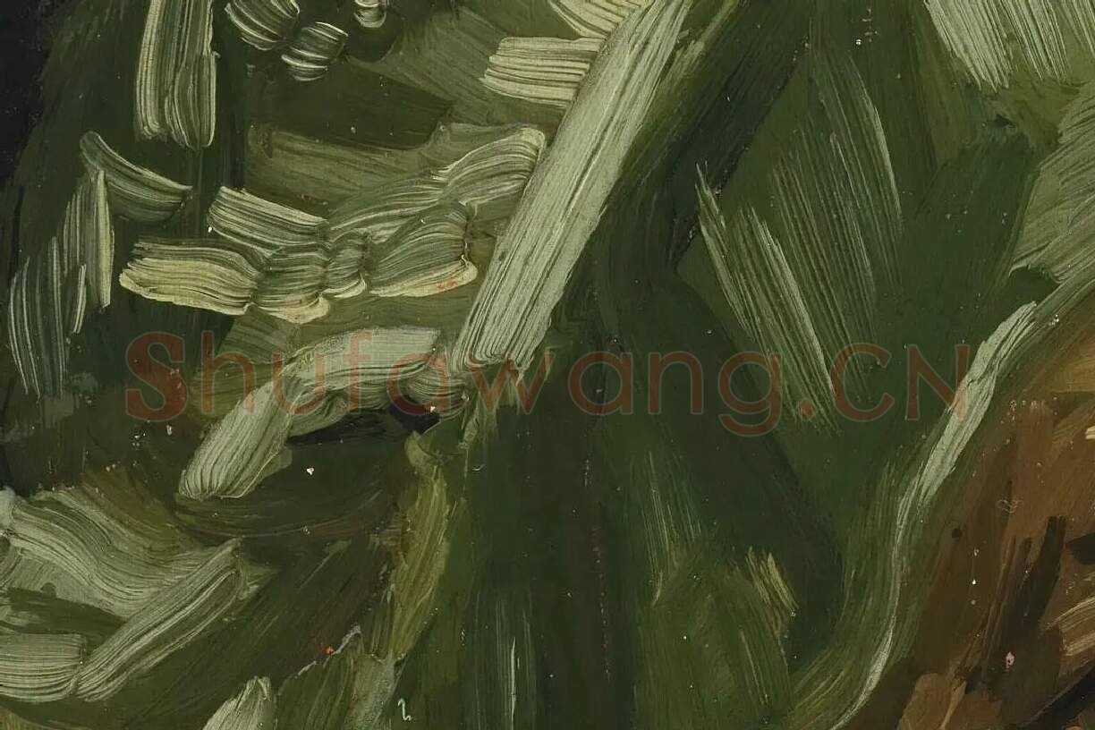 梵高油画头像《妇女人物头像》局部 (3)