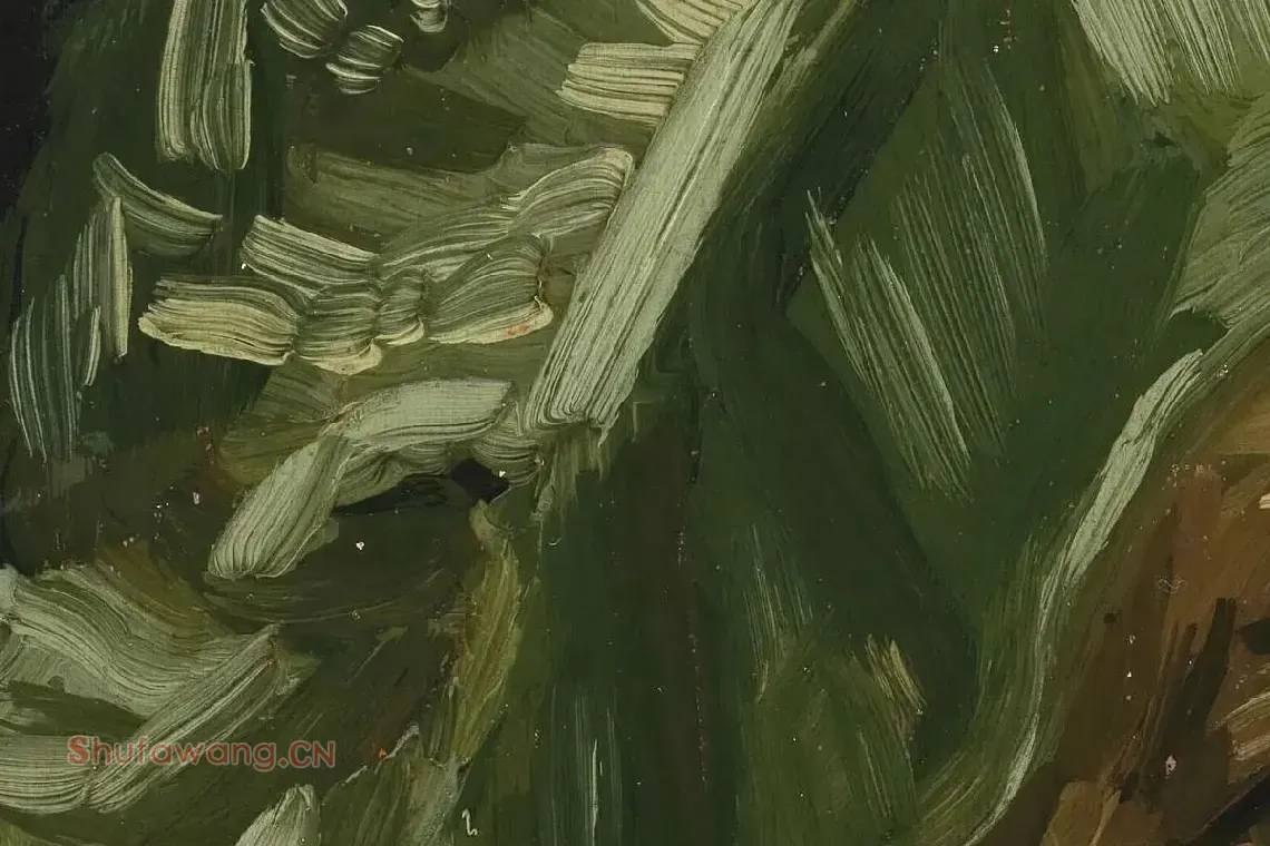 梵高油画头像《妇女人物头像》局部 (3)
