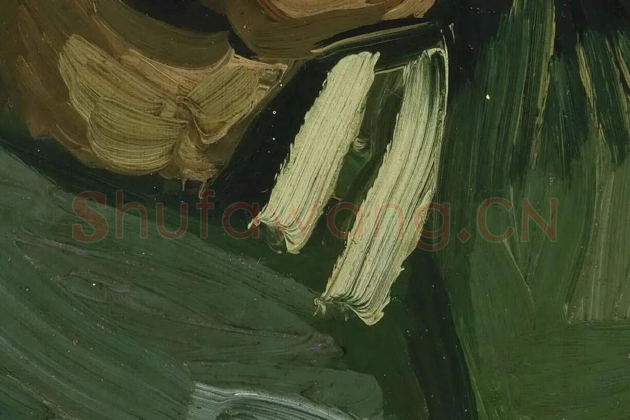 梵高油画头像《妇女人物头像》局部 (4)