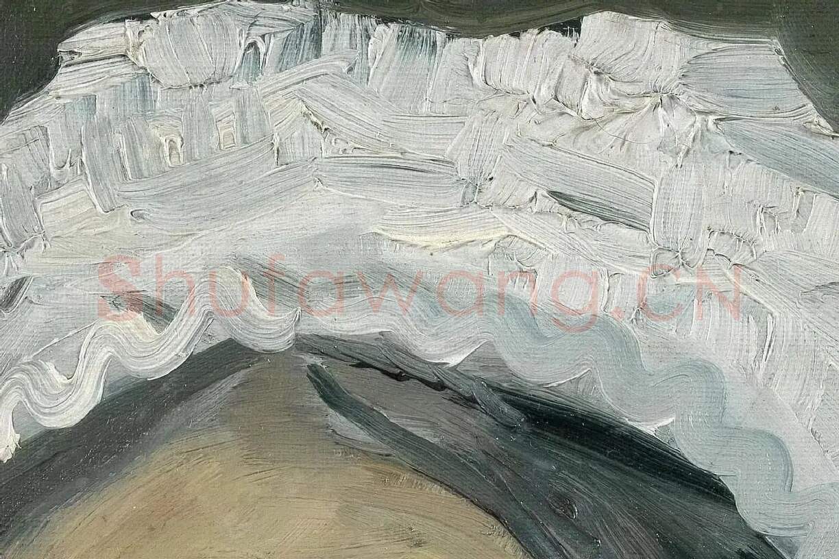 梵高油画头像《老年妇女头像》局部 (3)