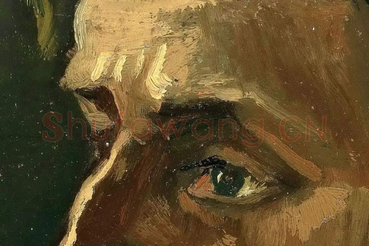 梵高油画头像作品《戴帽子的中年男子头像》高清大图局部细节 (1)