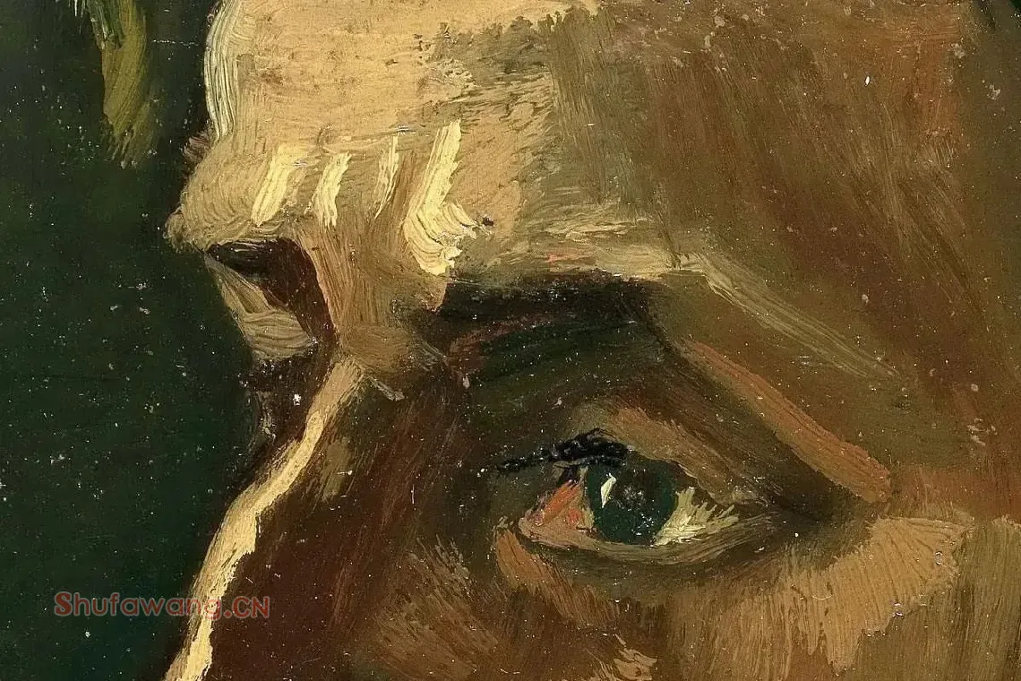 梵高油画头像作品《戴帽子的中年男子头像》高清大图局部细节 (1)