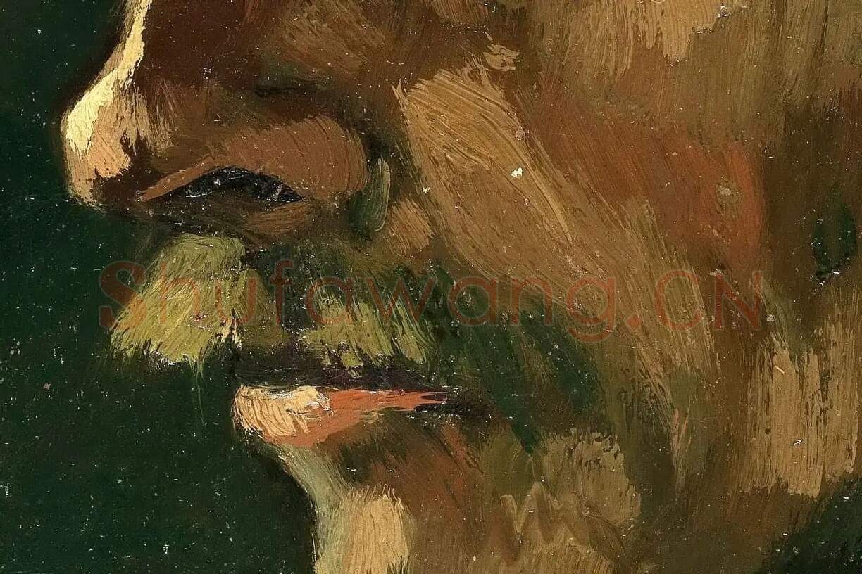 梵高油画头像作品《戴帽子的中年男子头像》高清大图局部细节 (2)