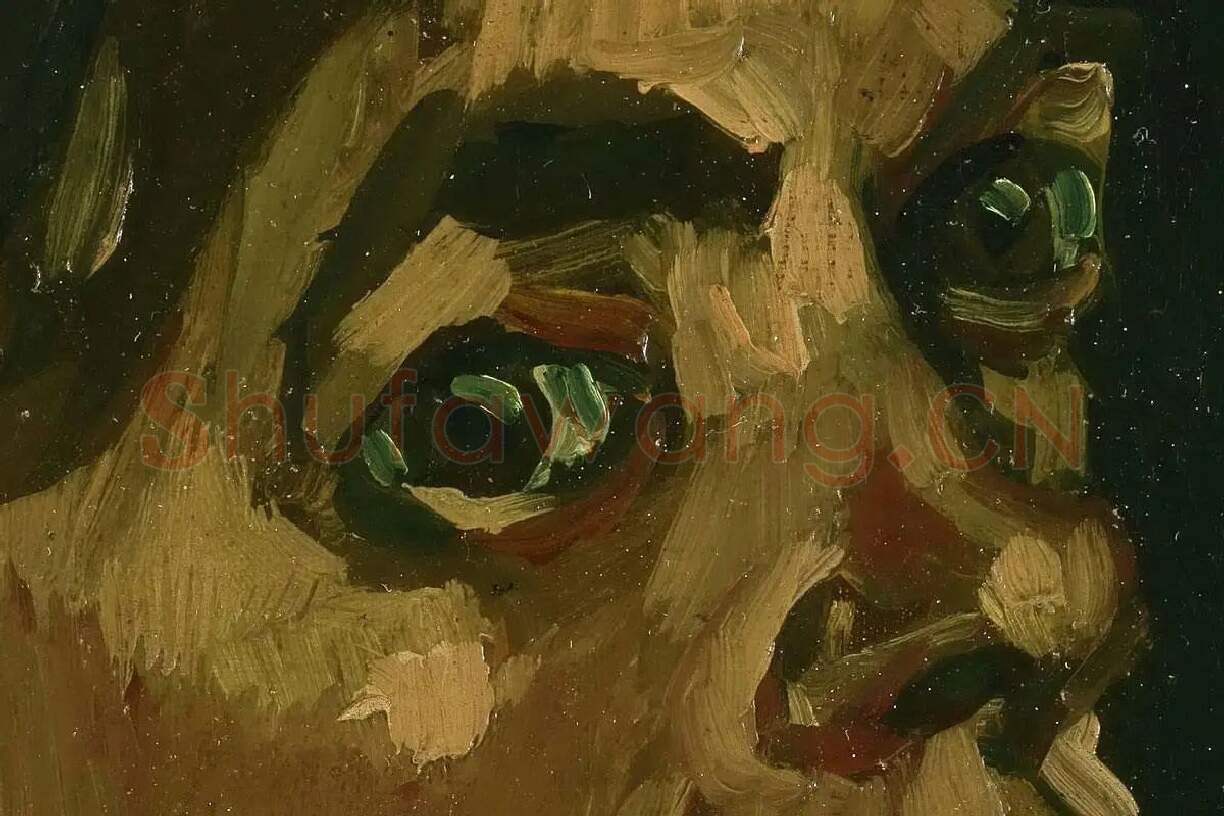 梵高习作油画《女人头像》局部 (1)