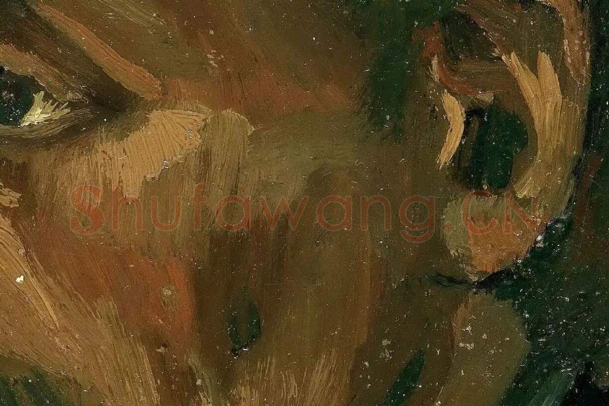 梵高油画头像作品《戴帽子的中年男子头像》高清大图局部细节 (4)