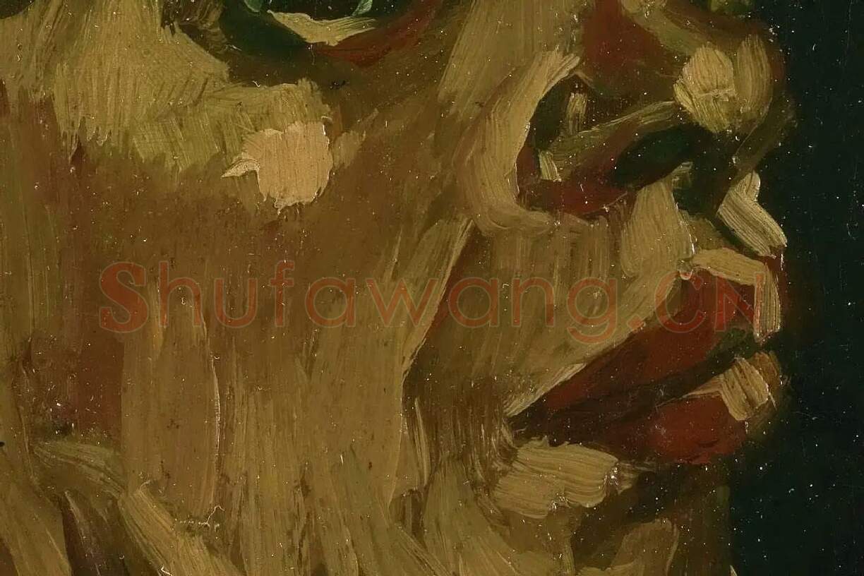 梵高习作油画《女人头像》局部 (2)
