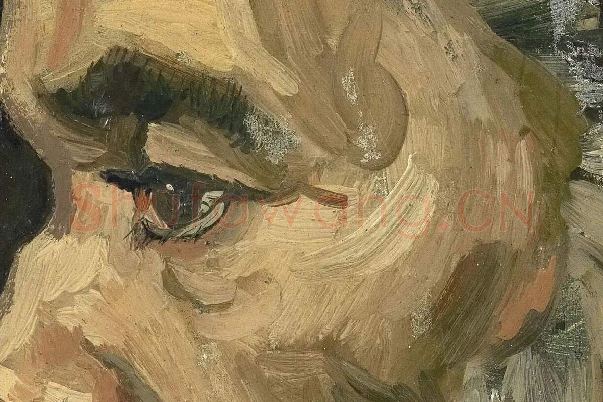 梵高人物肖像画《男老年头像》高清大图局部细节 (1)