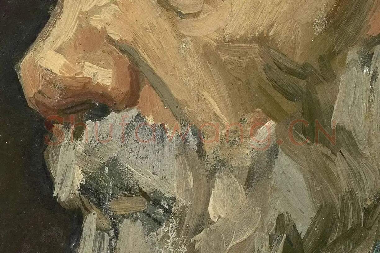 梵高人物肖像画《男老年头像》高清大图局部细节 (2)