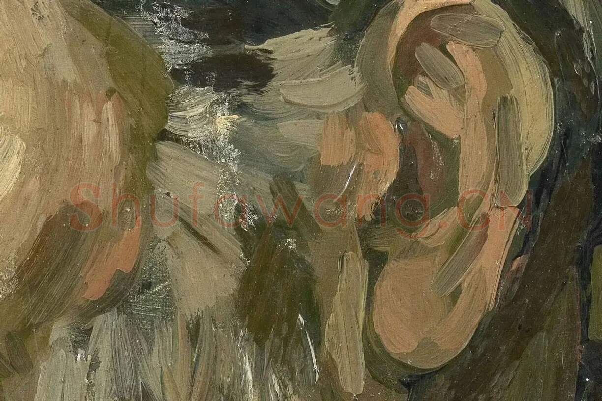 梵高人物肖像画《男老年头像》高清大图局部细节 (3)