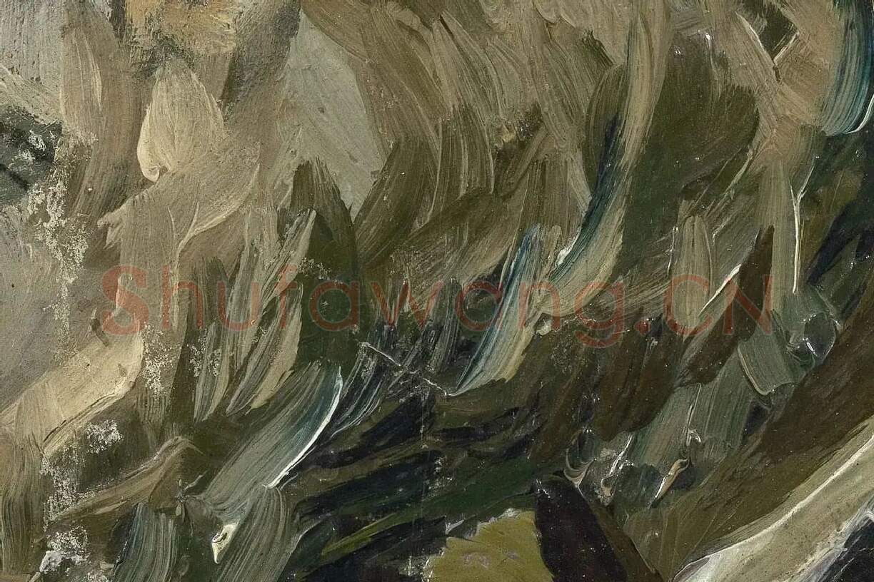 梵高人物肖像画《男老年头像》高清大图局部细节 (4)