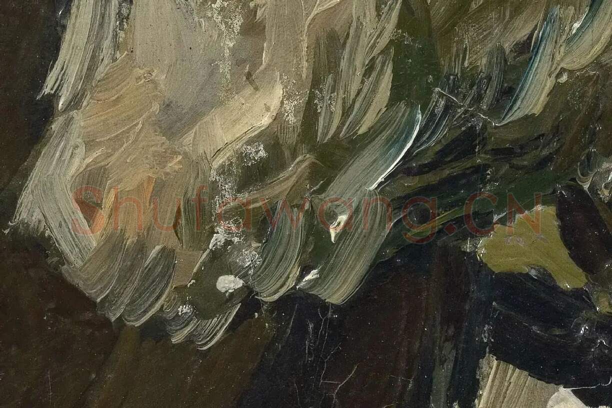 梵高人物肖像画《男老年头像》高清大图局部细节 (5)