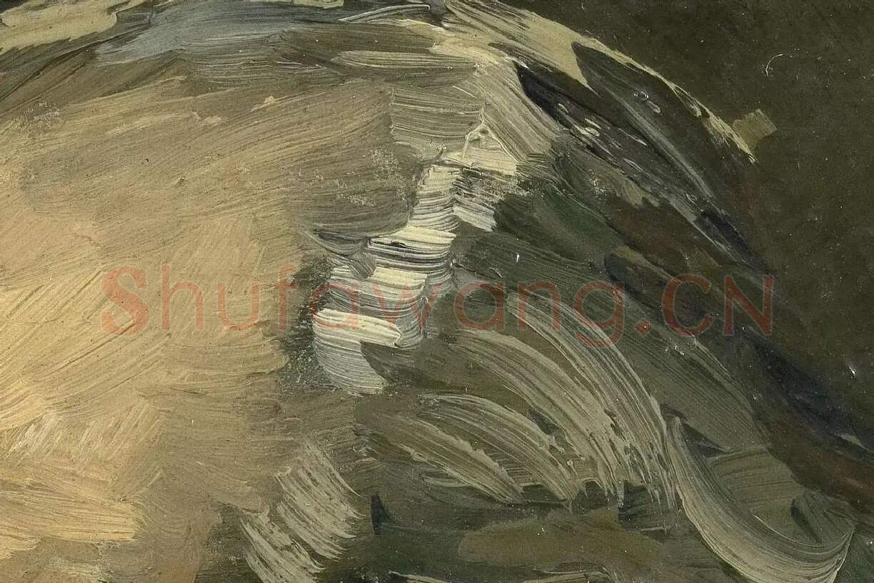 梵高人物肖像画《男老年头像》高清大图局部细节 (6)