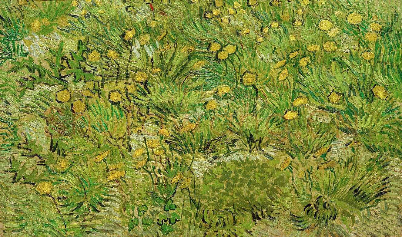 梵高作品《长满蒲公英的田野》
