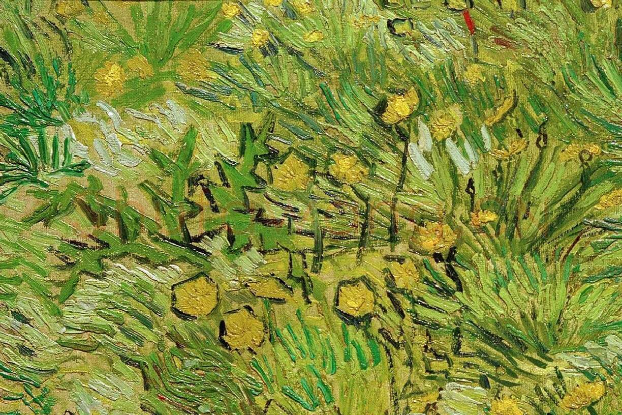 梵高作品《长满蒲公英的田野》局部 (1)