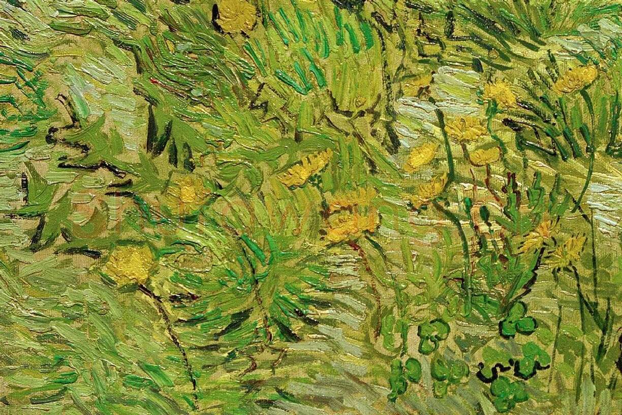 梵高作品《长满蒲公英的田野》局部 (4)
