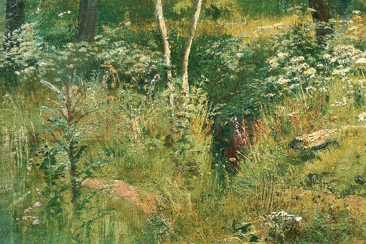 希施金油画风景作品《树林中草地上的野花》局部 (1)