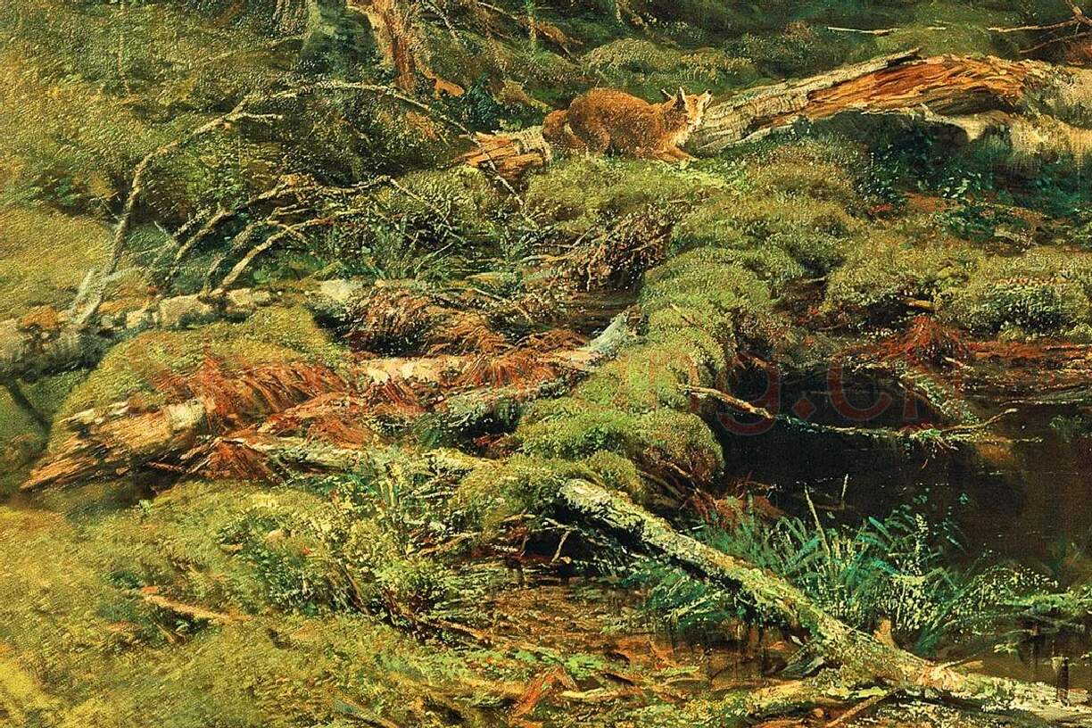 希施金油画森林风景《边远地区的森林》局部 (1)